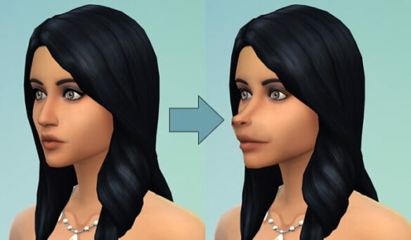 Sims 4 Snouts for Sims by CatmumCadence at Mod The Sims