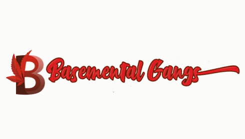 1.84-1.90 Basemental Gangs 6.22.64 (26.07.2022) - CC The Sims