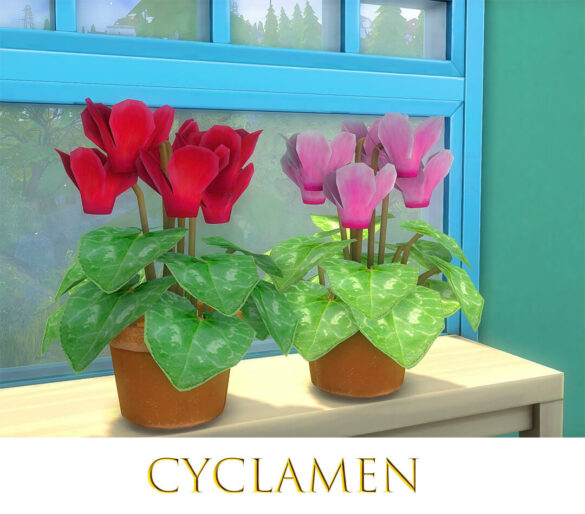 The Sims 4 cyclamen for sims4 by pocci