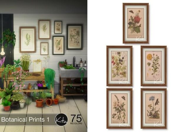 The Sims 4 Botanical Prints 1 at Ktasims