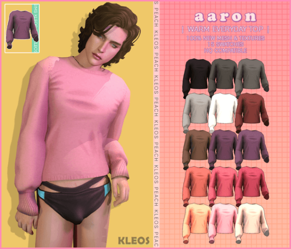 The Sims 4 Aaron Everyday Warm Top