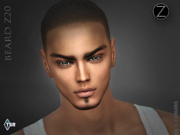 The Sims 4 BEARD Z20 by ZENX