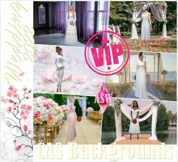 CAS Backgrounds Wedding 2022 VI