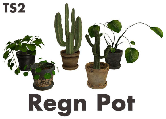 The Sims 4 Regn Pot at Riekus13