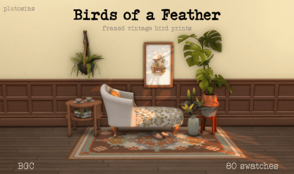 Birds of a Feather