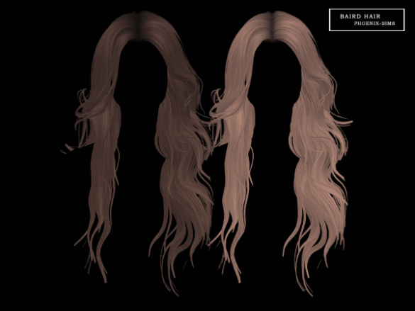 baird hair