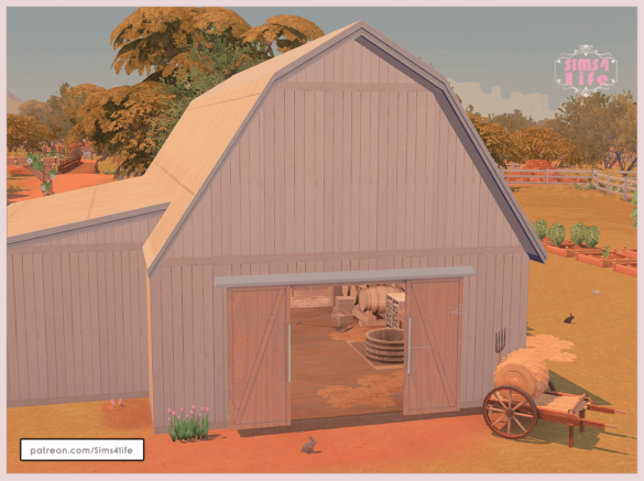 Barn doors and wallpaper (ea)